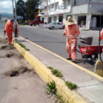 Parques y jardines sigue mantenimiento a áreas verdes de camellones