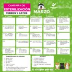 Continúa campaña de esterilización para perros y gatos, durante marzo