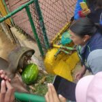 Biólogos de la unidad de rescate de fauna silvestre de Pachuca visitaron zoológico de Tulancingo