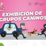 TULANKidsActividades03