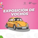 TULANKidsActividades11